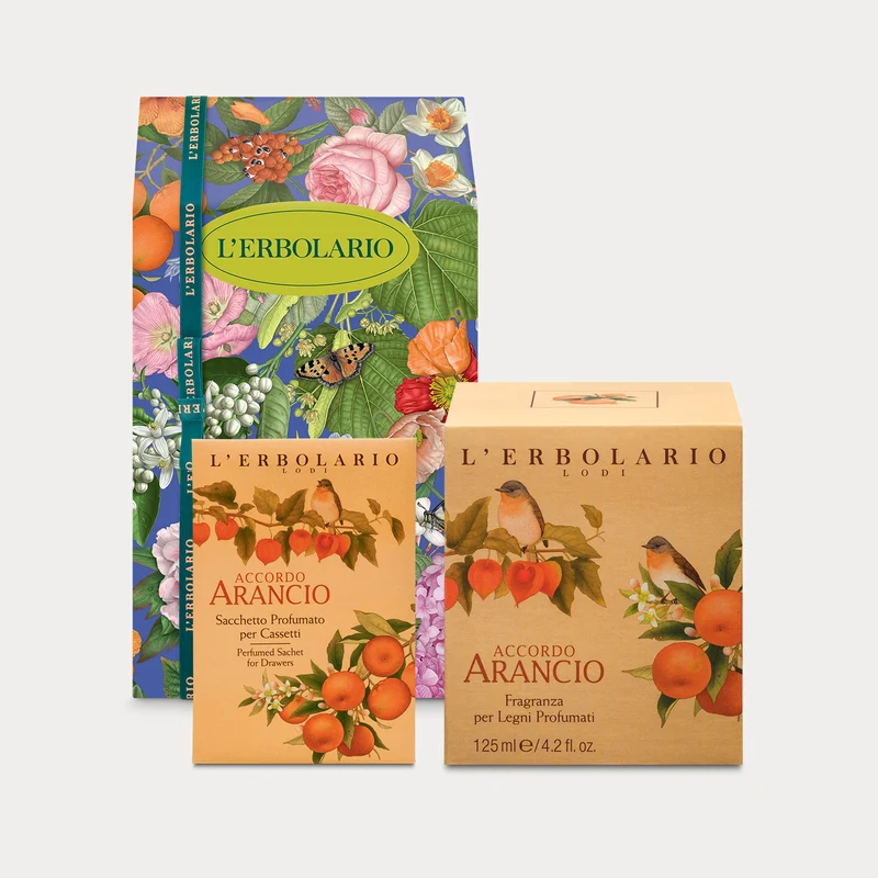 Confezione Accordo Arancio Casa Media