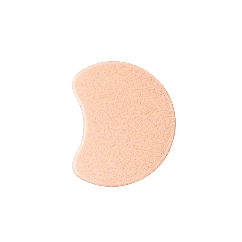 Foundation Sponge