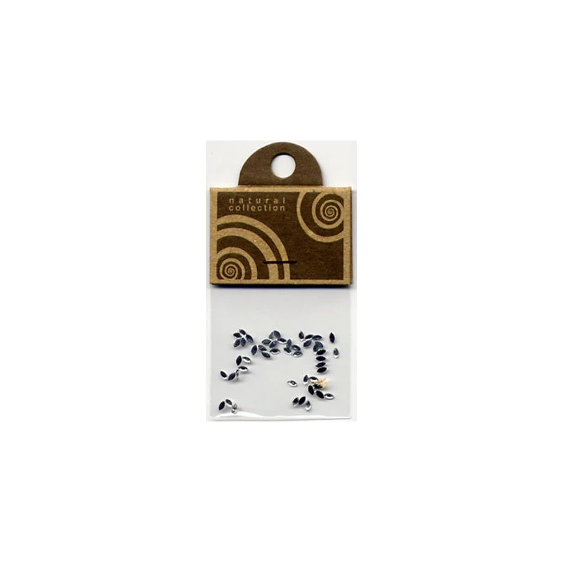 Natural Collection Brillantino unghie chicchi argento